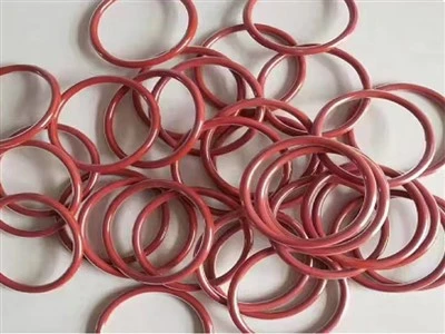 Encapsulated O Rings